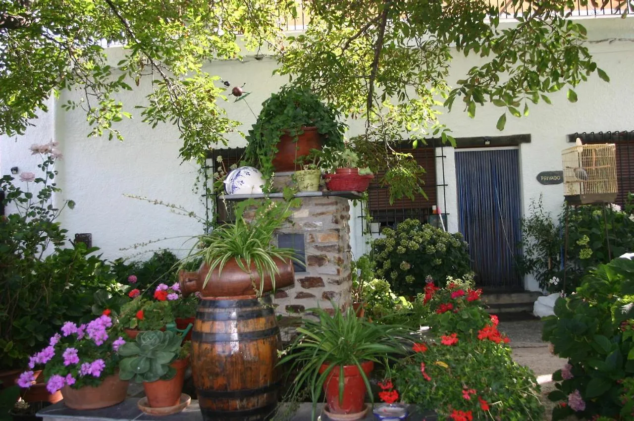 Holiday home Apartamentos Y Casas Rurales Las Terrazas De La Alpujarra Bubion
